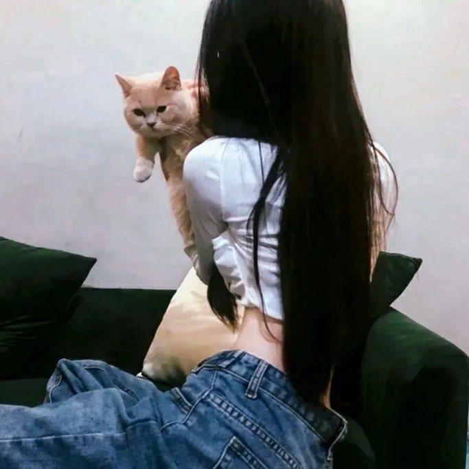 脱俗家庭